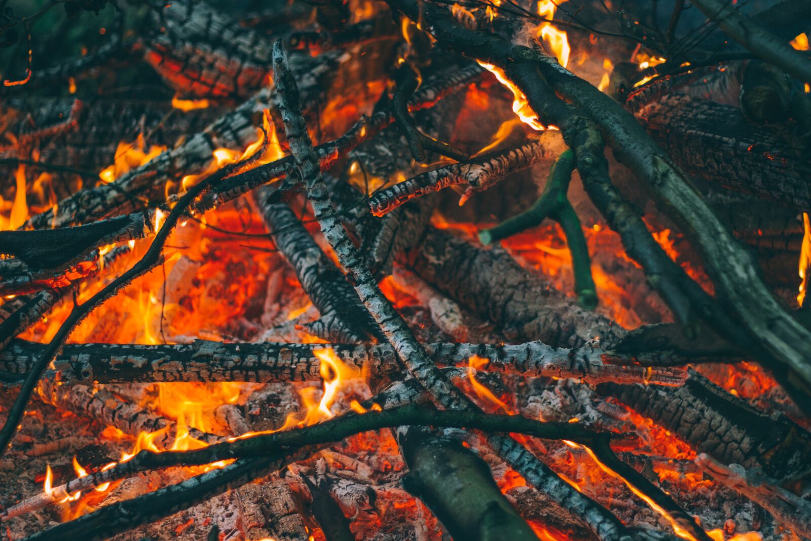 Canon EOS 600D (Rebel EOS T3i / EOS Kiss X5) + Canon EF 50mm F1.8 II sample photo. Ash, bonfire, burn photography