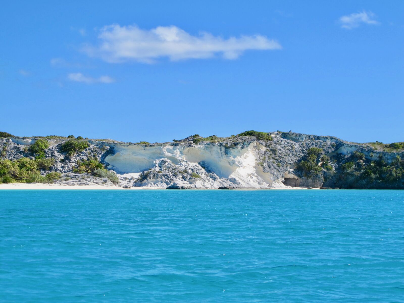 Canon PowerShot G12 sample photo. Bahamas, iguana beach, black photography