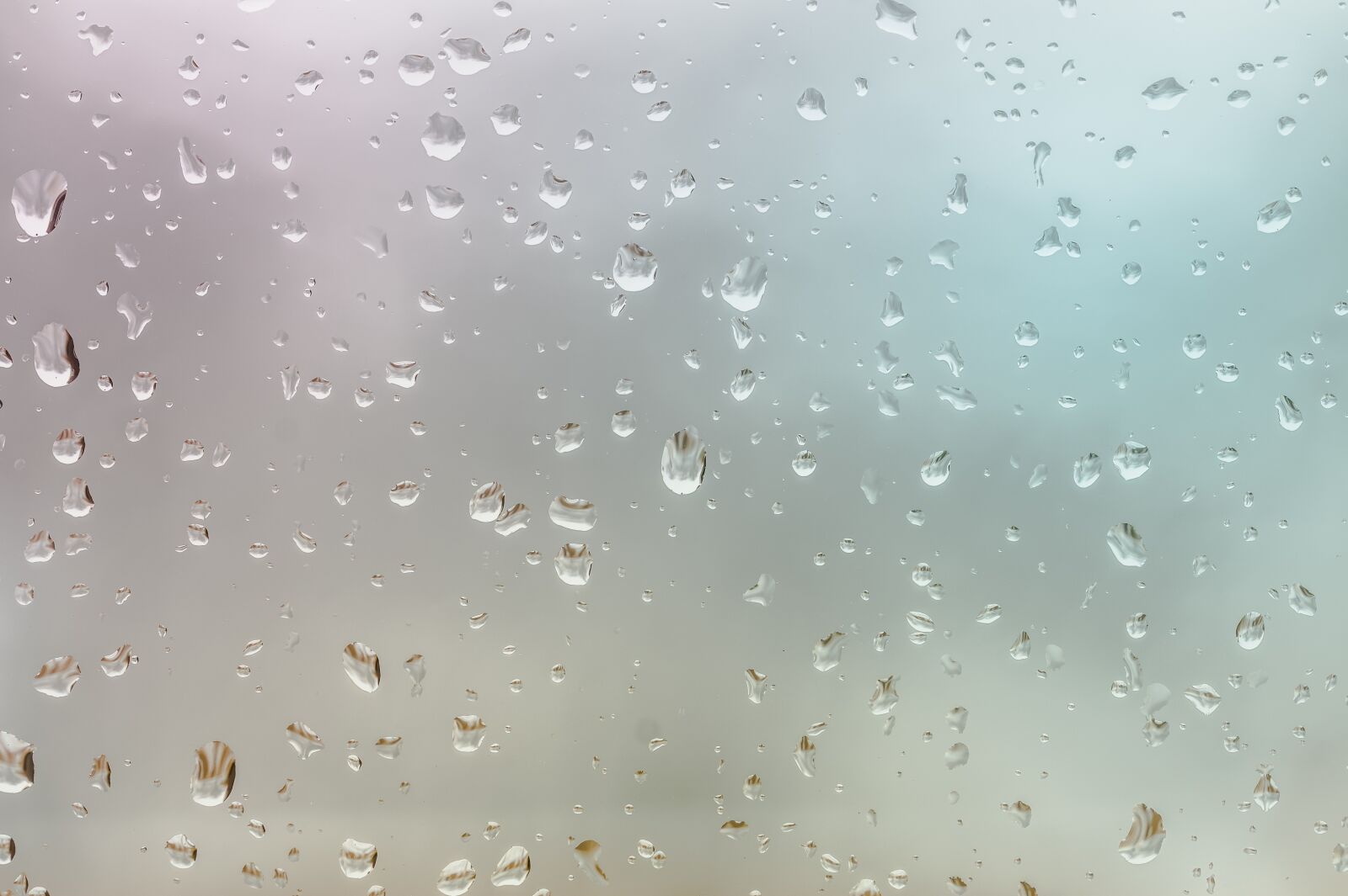 Sony SLT-A58 + 105mm F2.8 sample photo. Water drops, background, rain photography