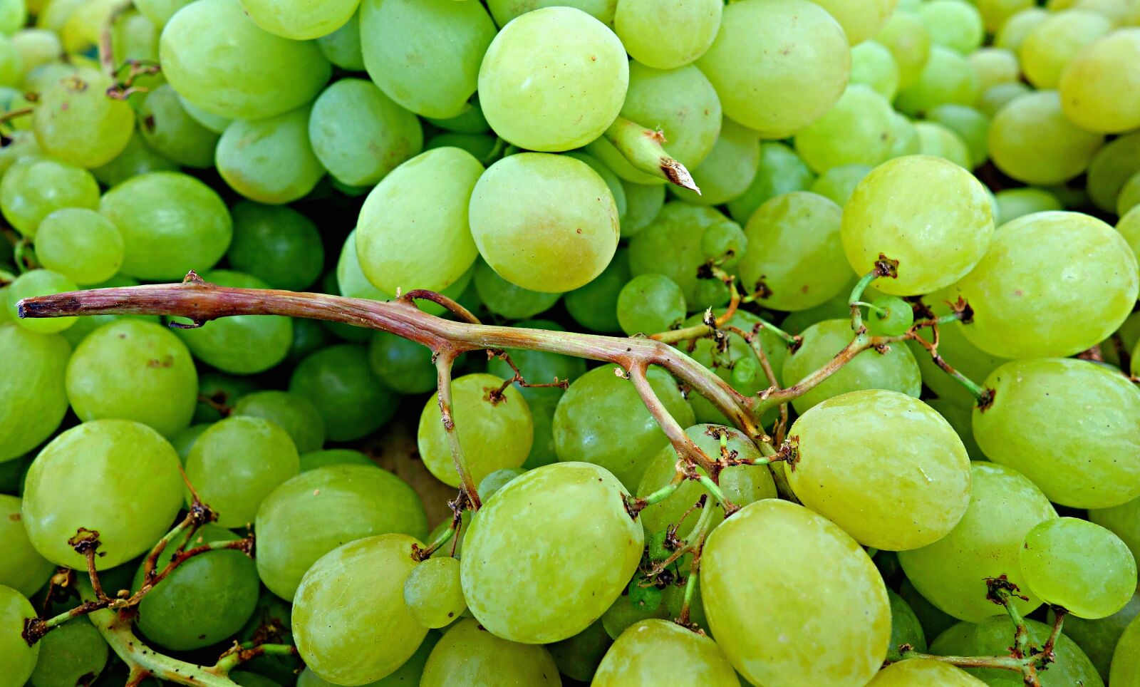 Sony Cyber-shot DSC-RX100 sample photo. Grape, fruit, fresh photography