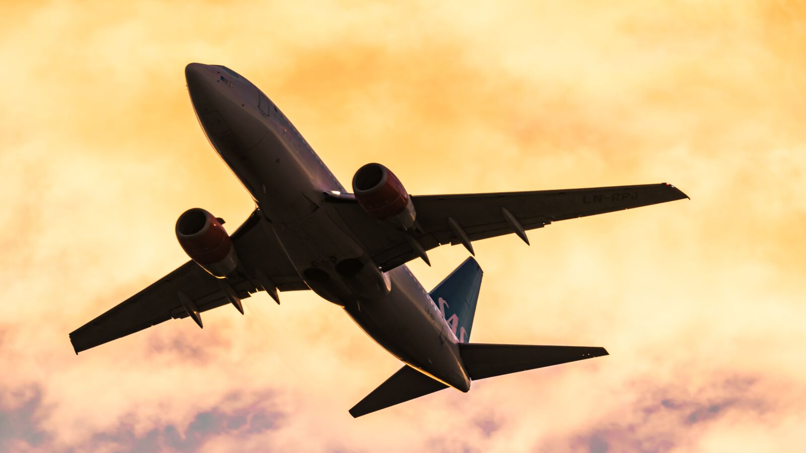 Nikon D5300 sample photo. Sas, fly, transportation photography