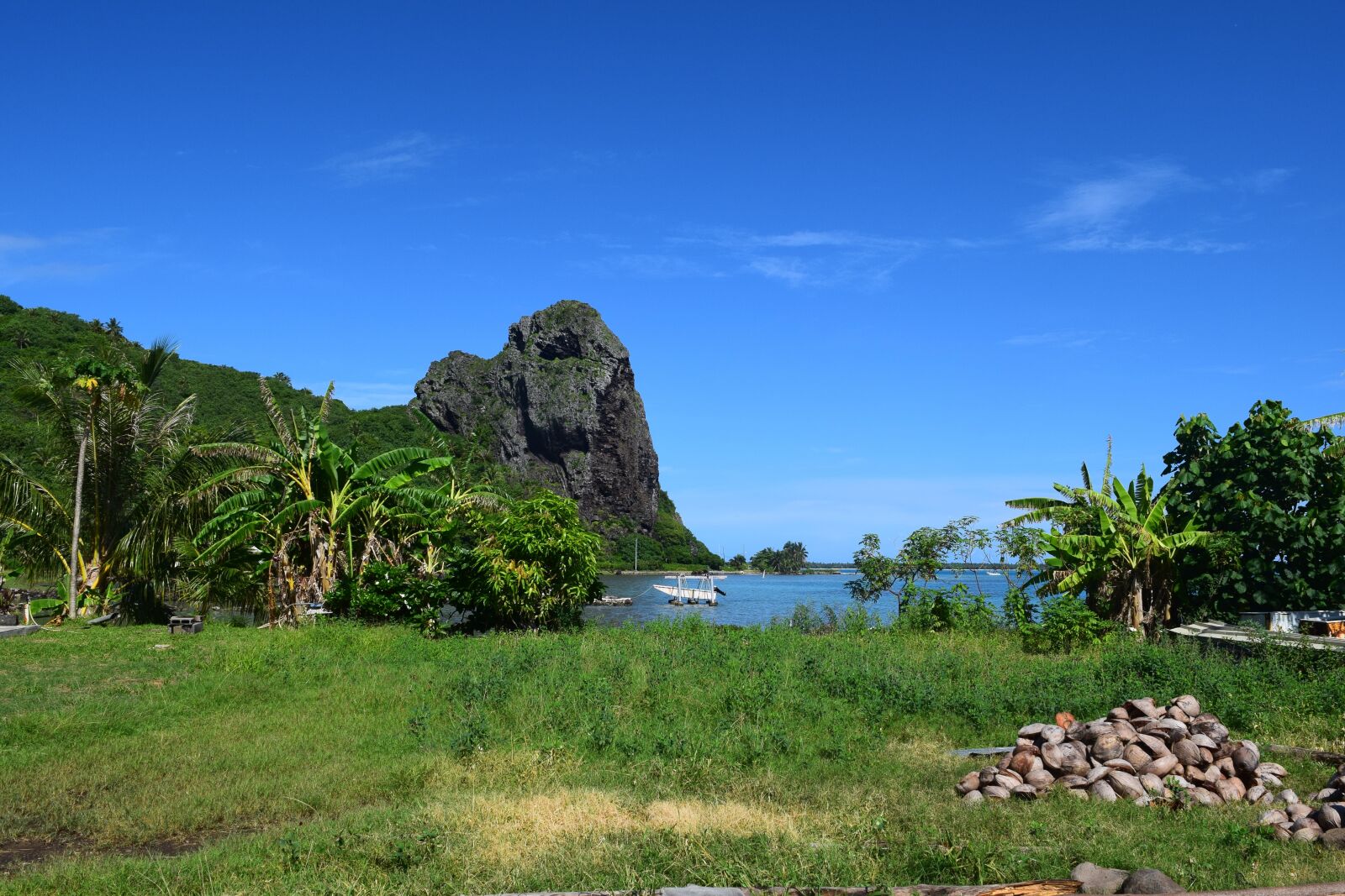 Nikon D3300 sample photo. Travel, maupiti, french polynesia photography