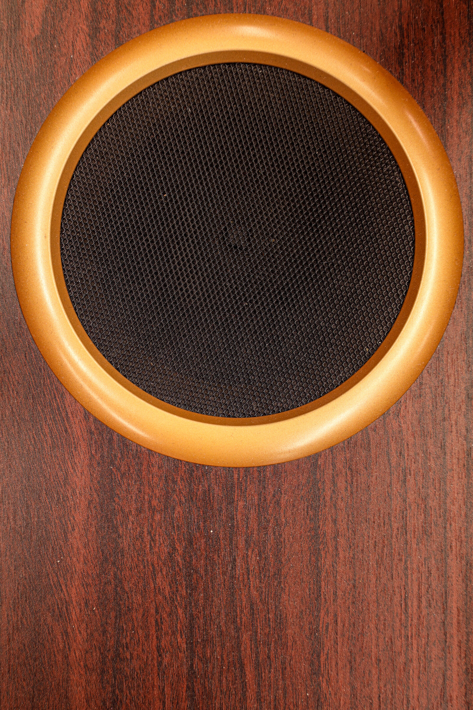 Canon RF 24-105mm F4.0-7.1 IS STM sample photo. Speaker on the wood photography