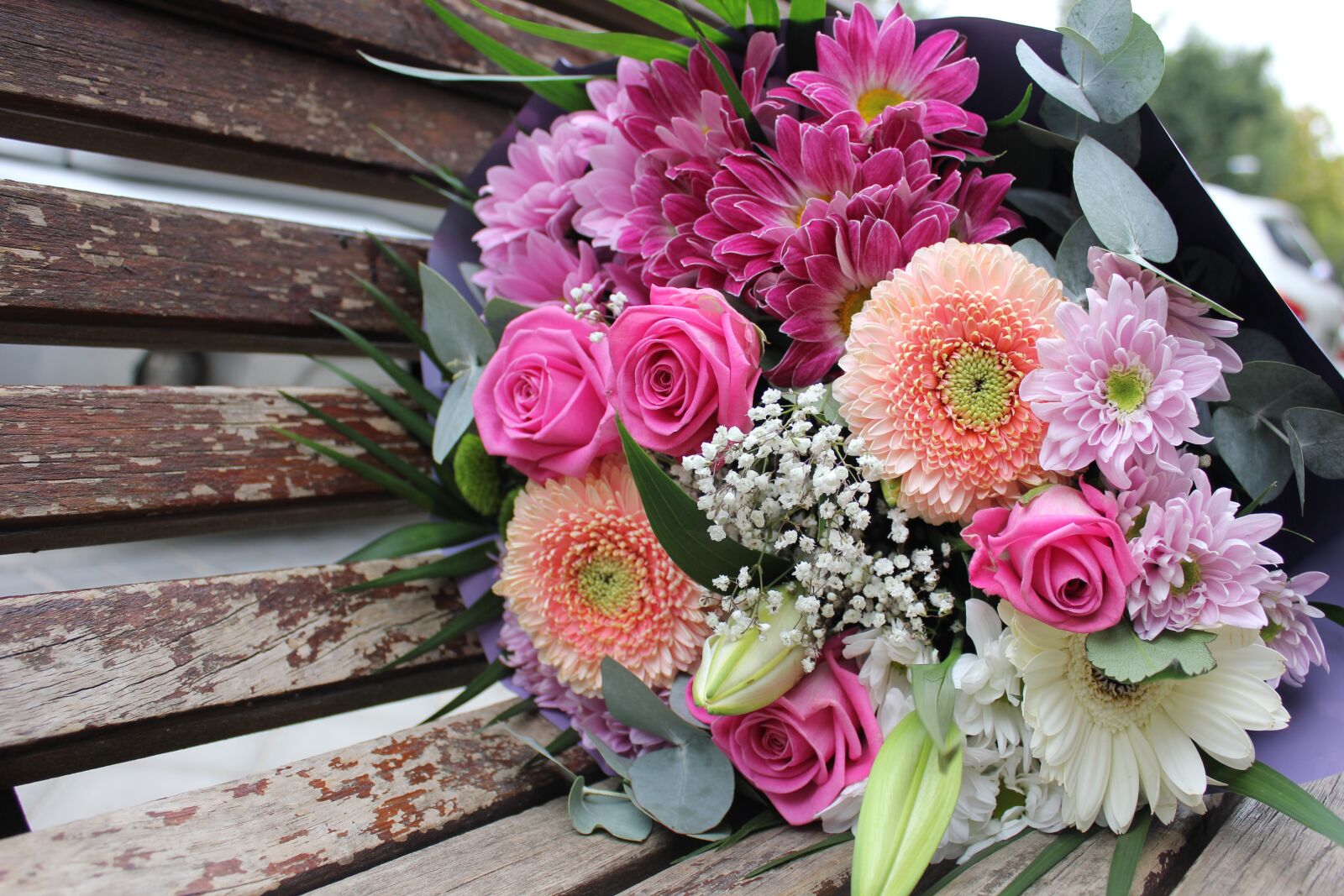 Canon EOS 550D (EOS Rebel T2i / EOS Kiss X4) sample photo. Bouquet, flowers, nature photography