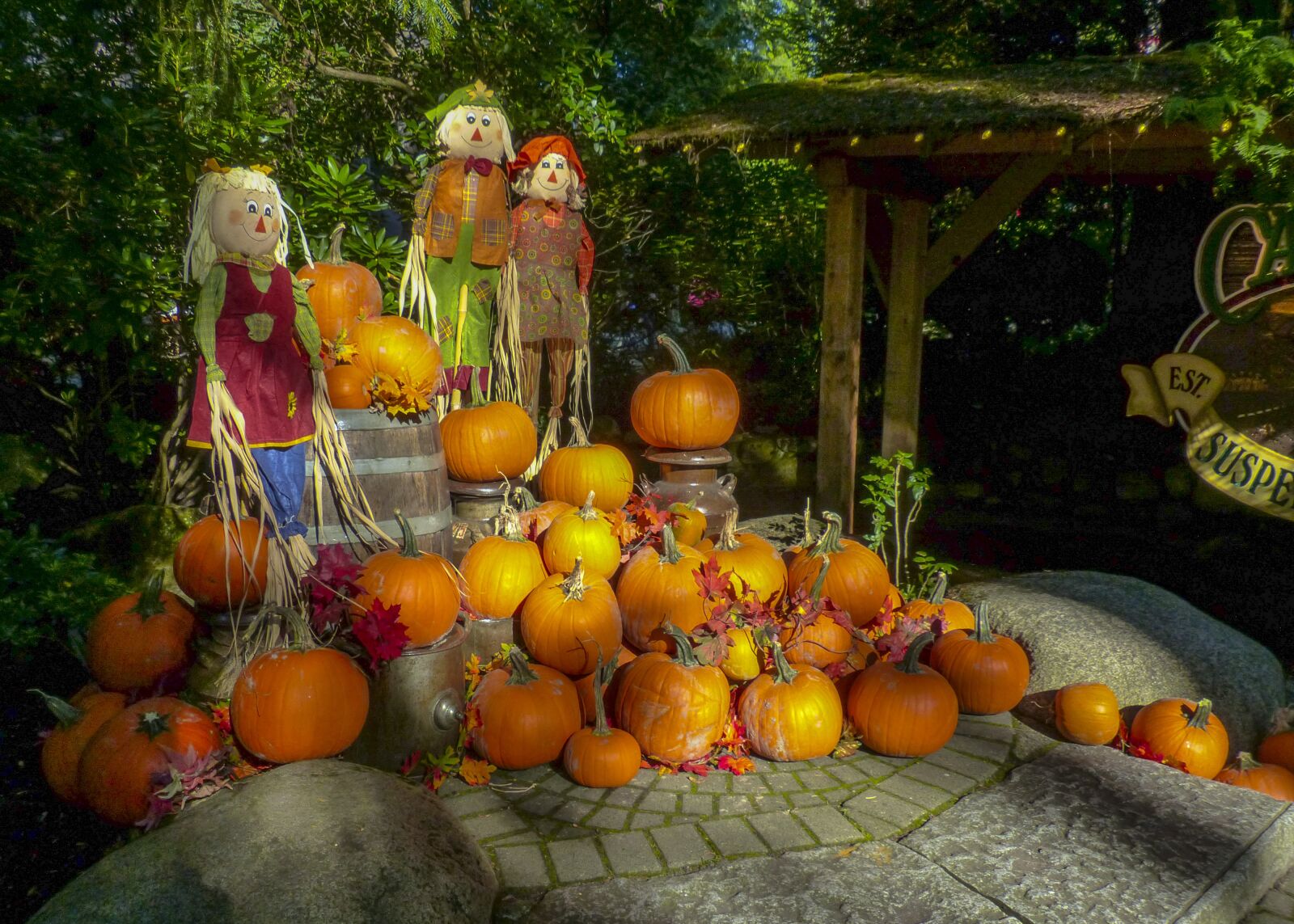 Panasonic Lumix DMC-FZ200 sample photo. Autumn, pumpkin, still life photography