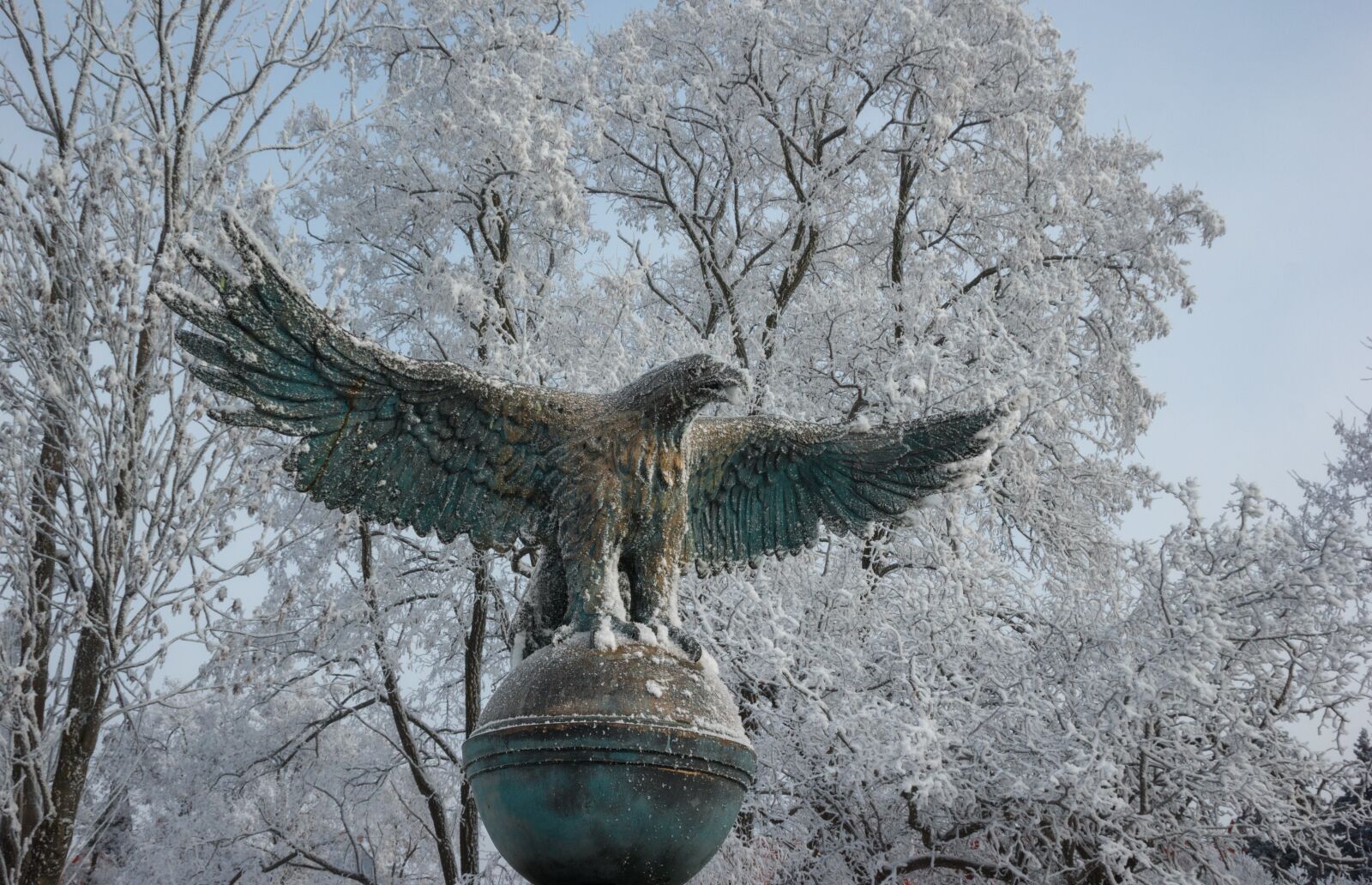 Canon EOS 550D (EOS Rebel T2i / EOS Kiss X4) sample photo. Tree, nature, winter photography