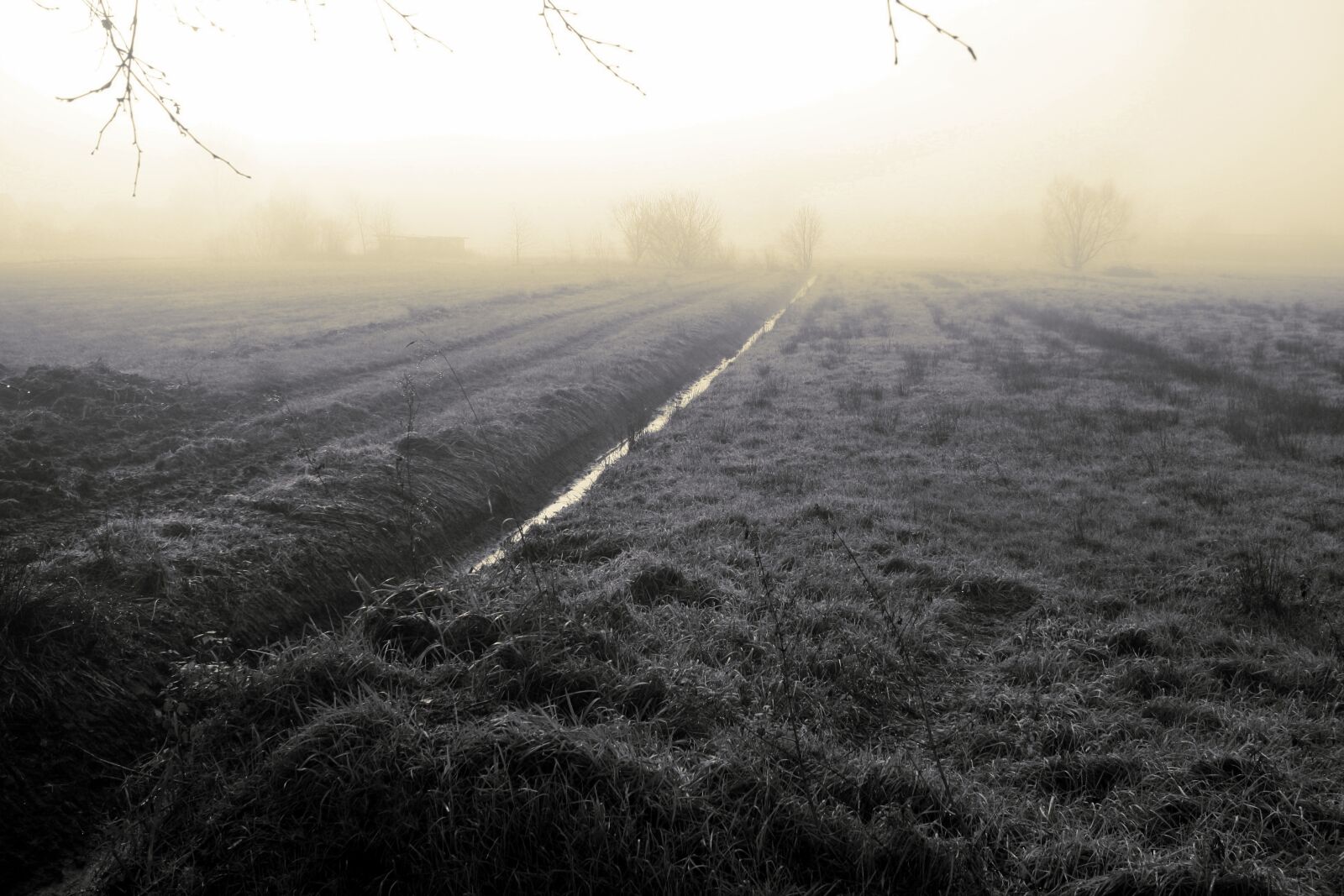 Canon EOS 1000D (EOS Digital Rebel XS / EOS Kiss F) sample photo. Fog, nature, wide photography