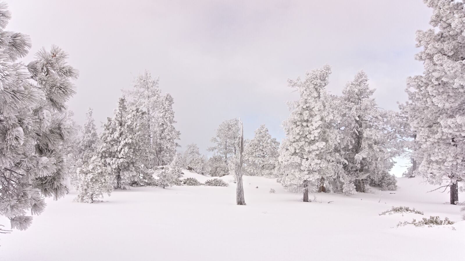 Sony Alpha NEX-7 sample photo. Snow, alpine, clouds photography