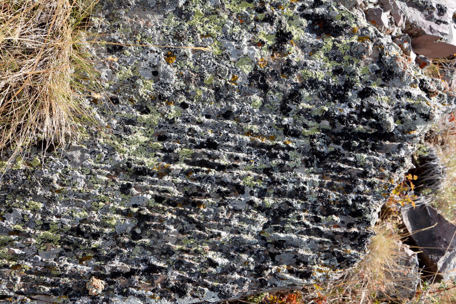 Nikon D7100 sample photo. Kennedy, stone, texture photography