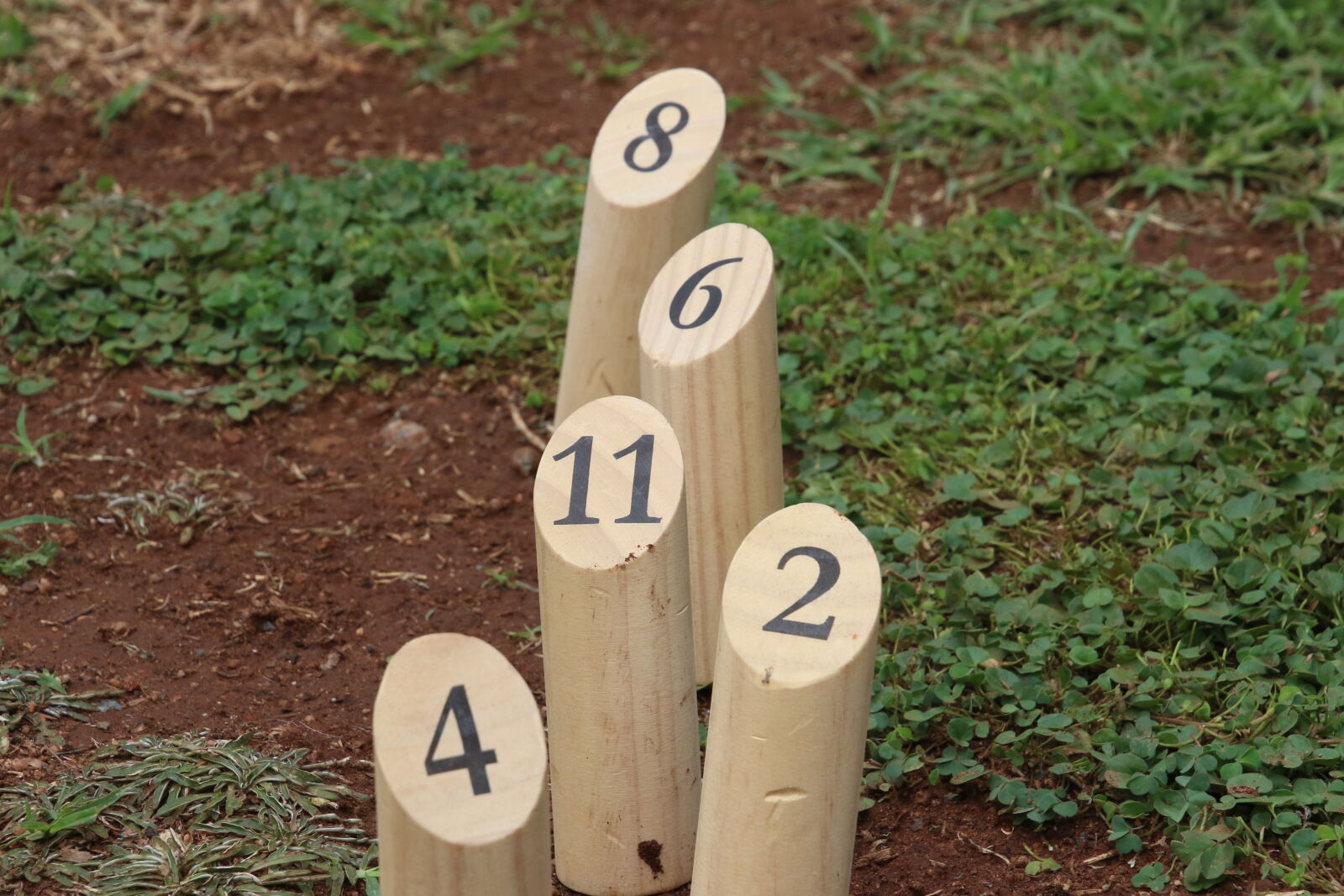 Canon EOS 7D Mark II sample photo. Count, fun, games, garden photography