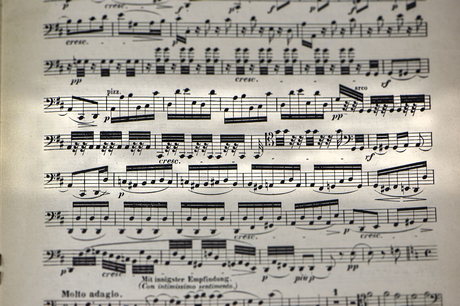 Nikon D5600 sample photo. Note, tonality, library photography