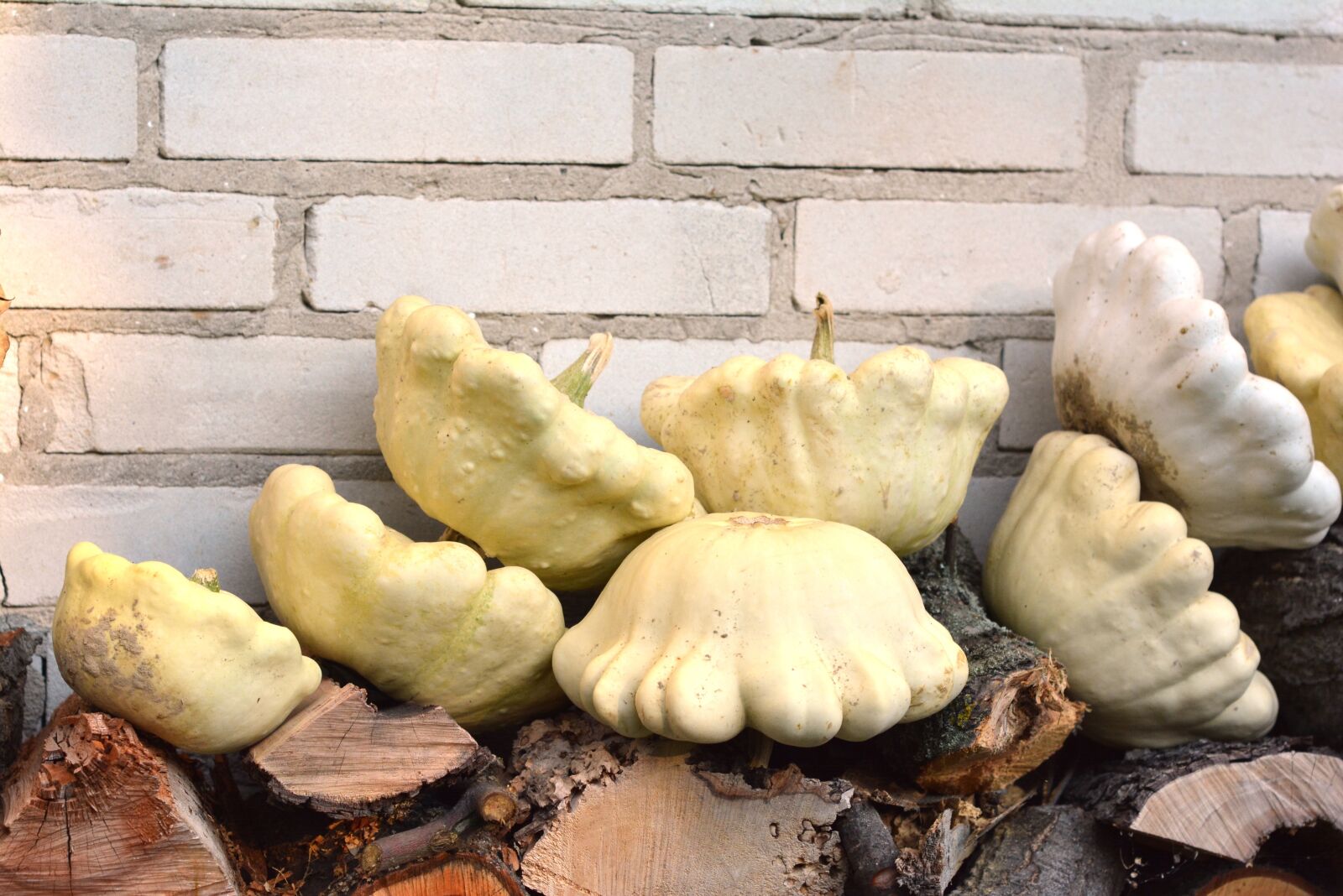 Nikon D5200 sample photo. Autumn, pumpkins, pumpkin photography