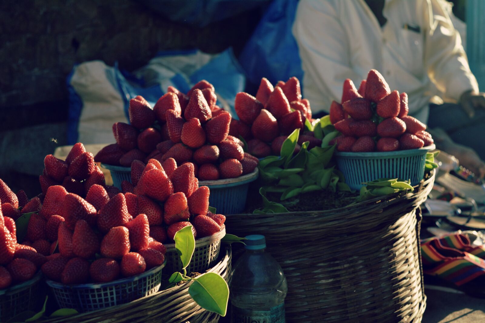 Nikon D5200 sample photo. Strawberries, village photography