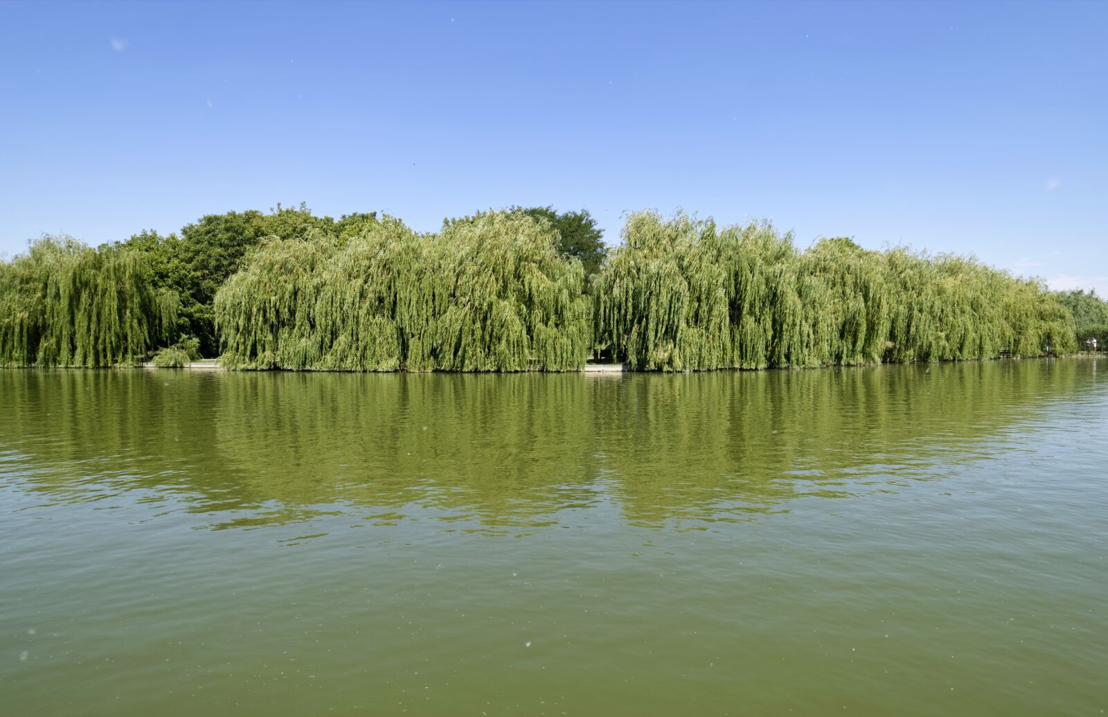 Nikon D5300 sample photo. Lake, water, trees photography