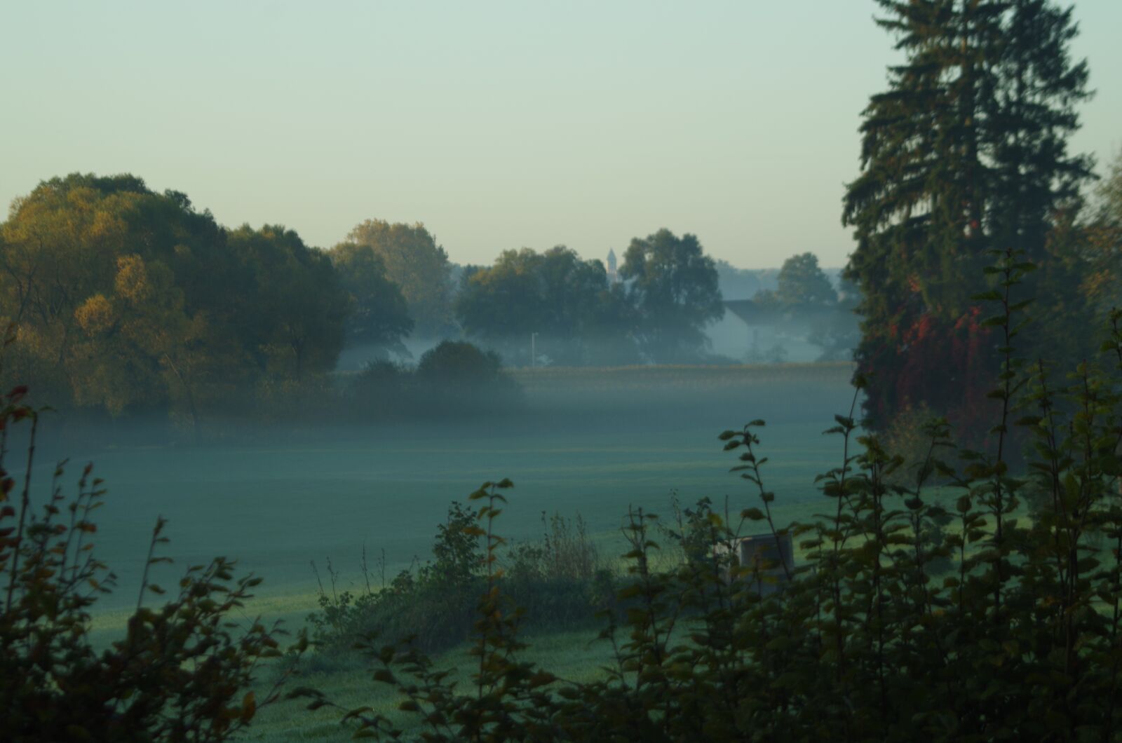 Pentax K-50 sample photo. Landscape, tafertshofen, fog photography