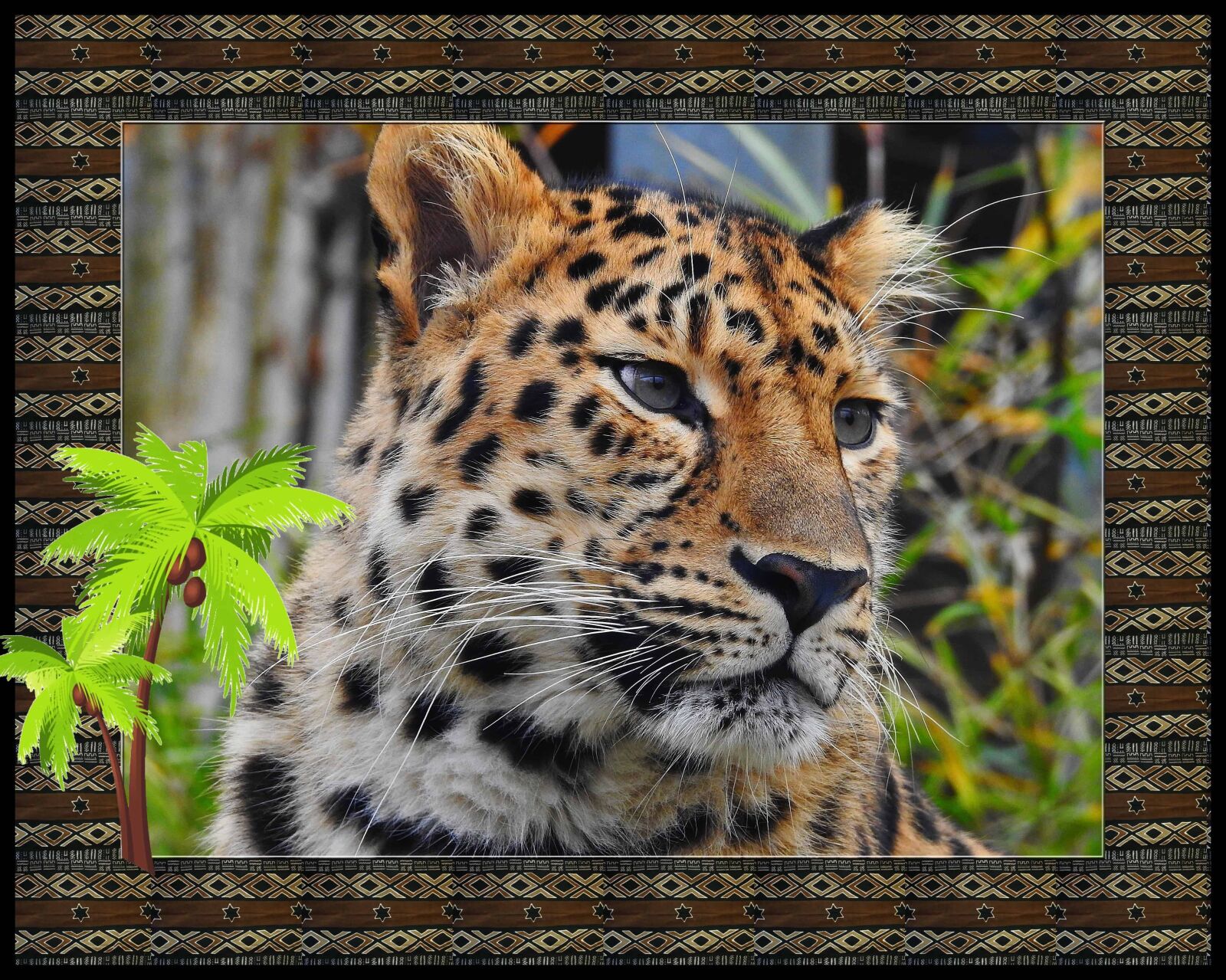 Nikon Coolpix P900 sample photo. Photomontage, animal, predator, hunter photography