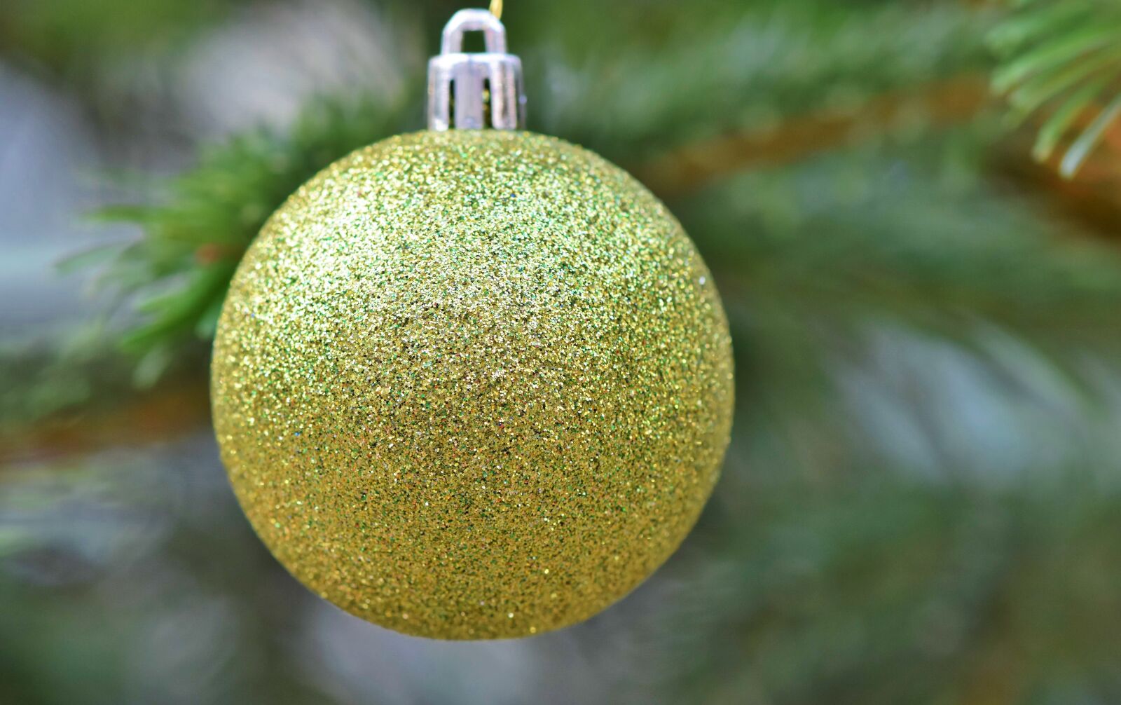 Nikon D7200 sample photo. Christmas ornament, christmas ornaments photography