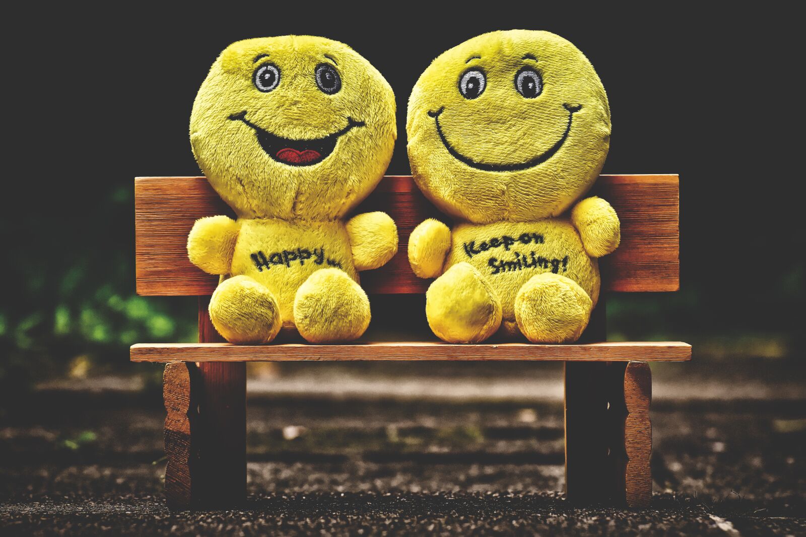 Nikon D7200 sample photo. Smilies, plush, yellow photography