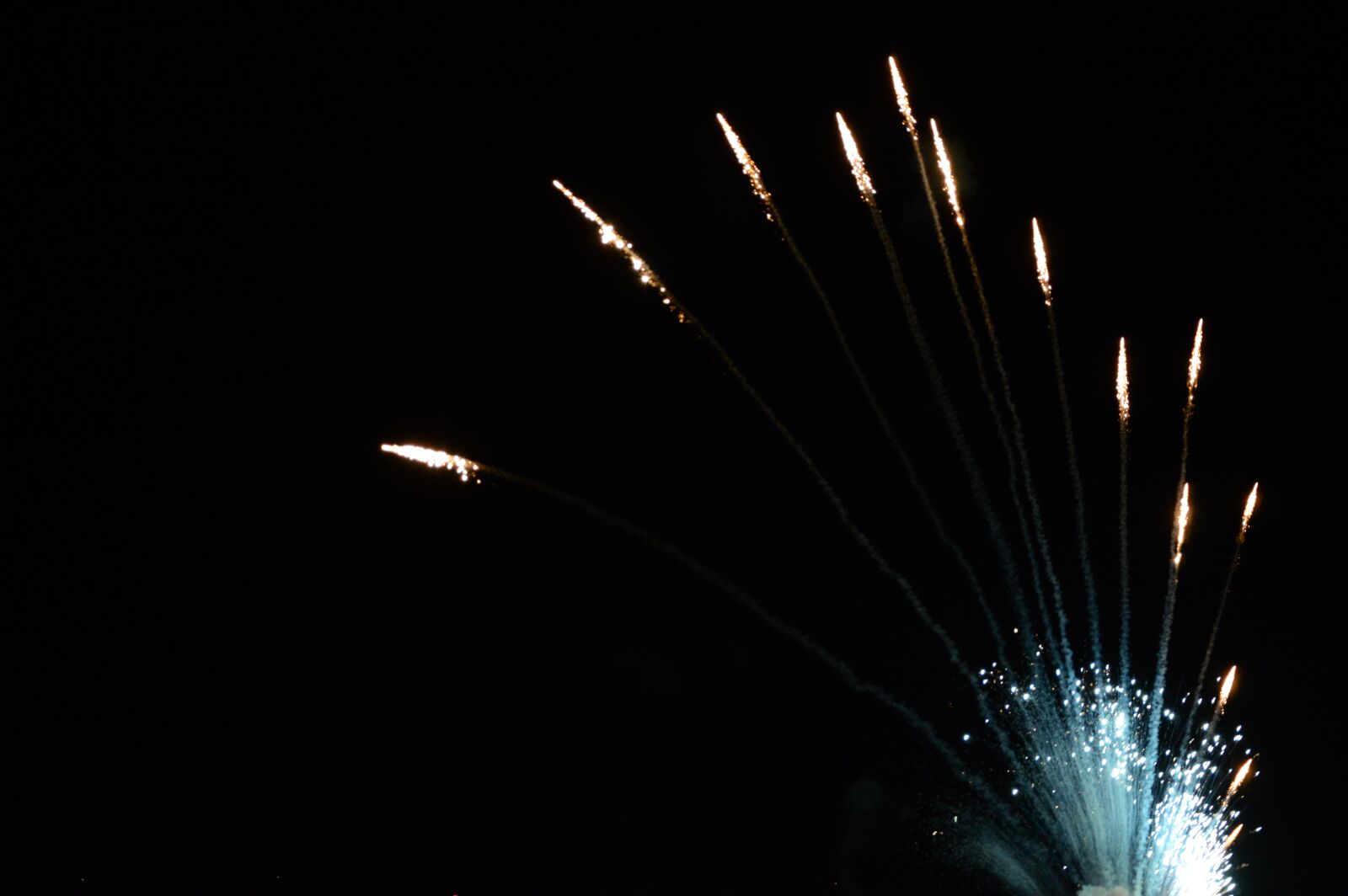 Nikon D3200 sample photo. Fire, artifice, feast photography