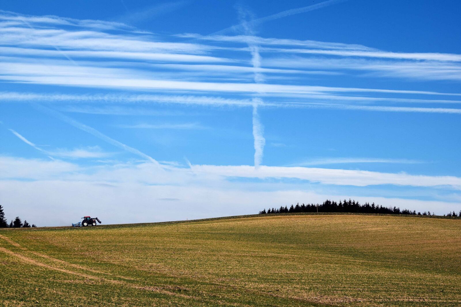 Nikon D3300 sample photo. Grass, nature, sky, countryside photography