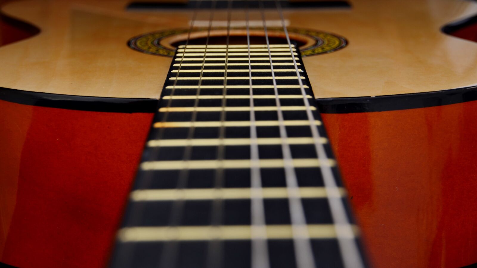 Nikon D5100 sample photo. Guitar, strings, instrument photography