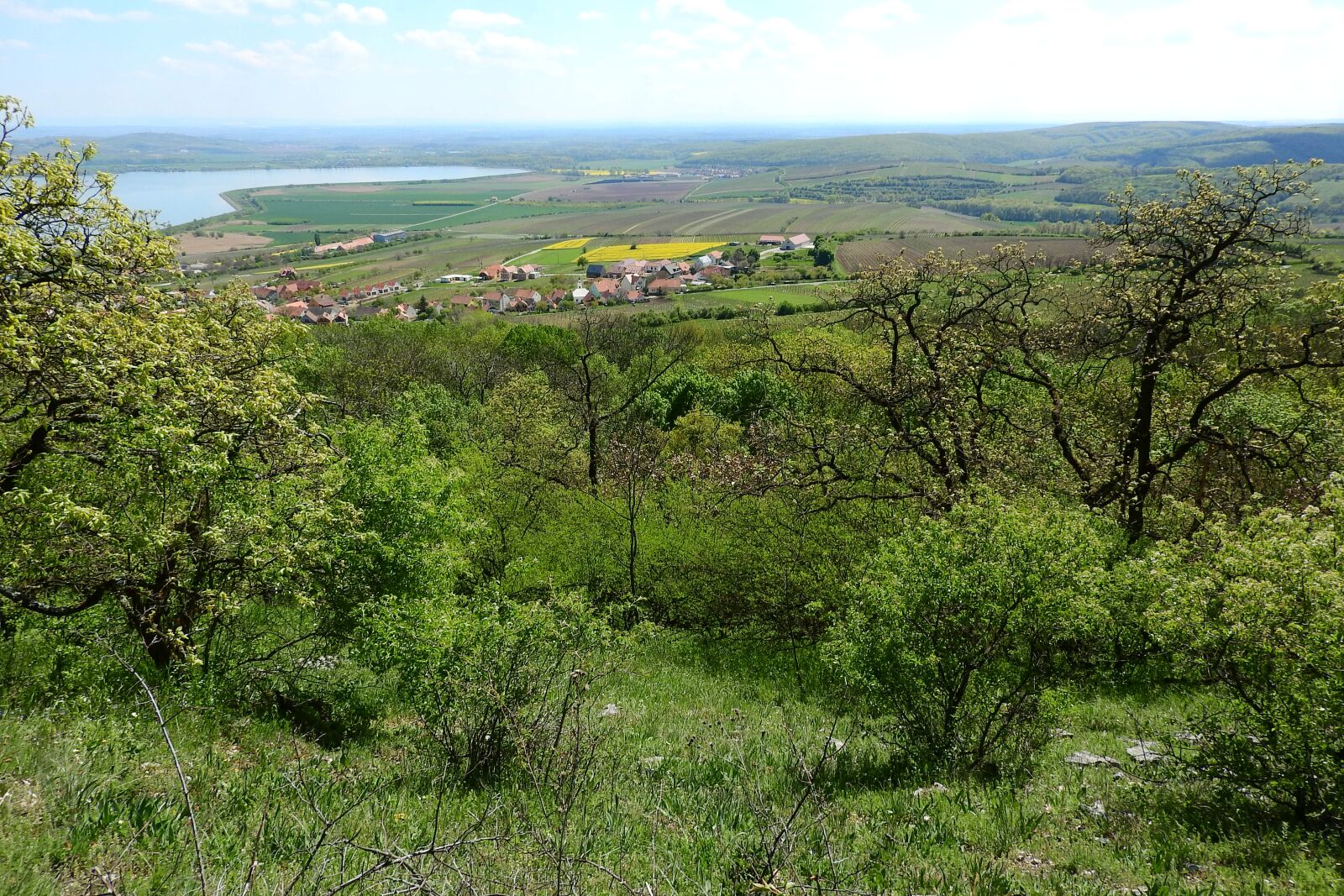 Nikon Coolpix P610 sample photo. Landscape, agricultural landscape, countryside photography