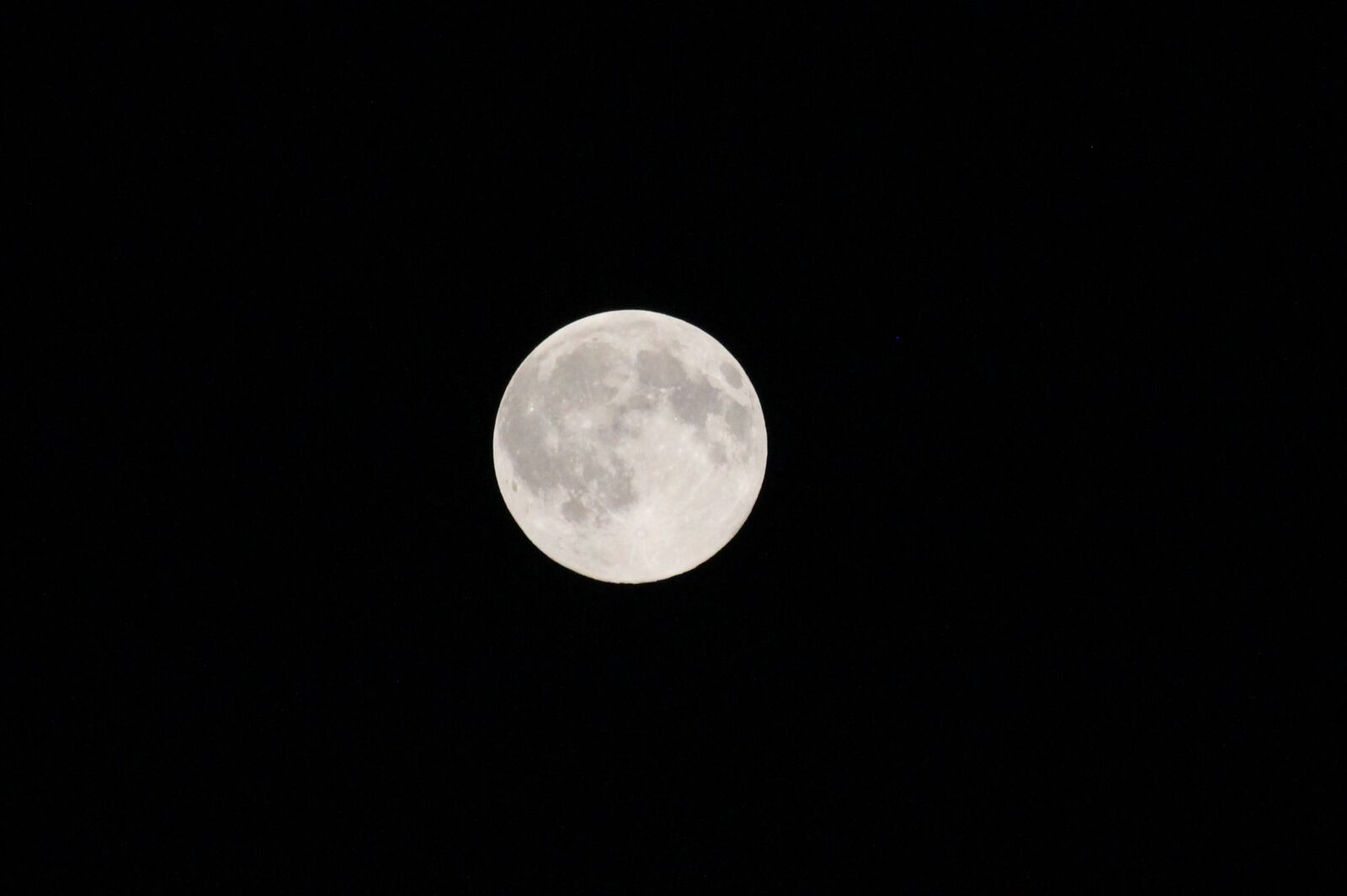 Canon EOS 550D (EOS Rebel T2i / EOS Kiss X4) sample photo. Luna, night, full moon photography