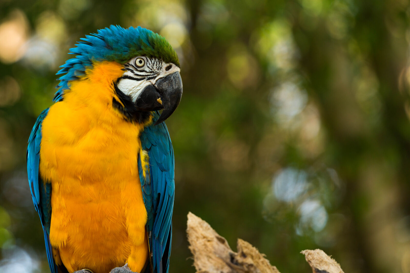 Canon EF 70-200mm F4L USM sample photo. Zoo, parque, itatiba, sp photography