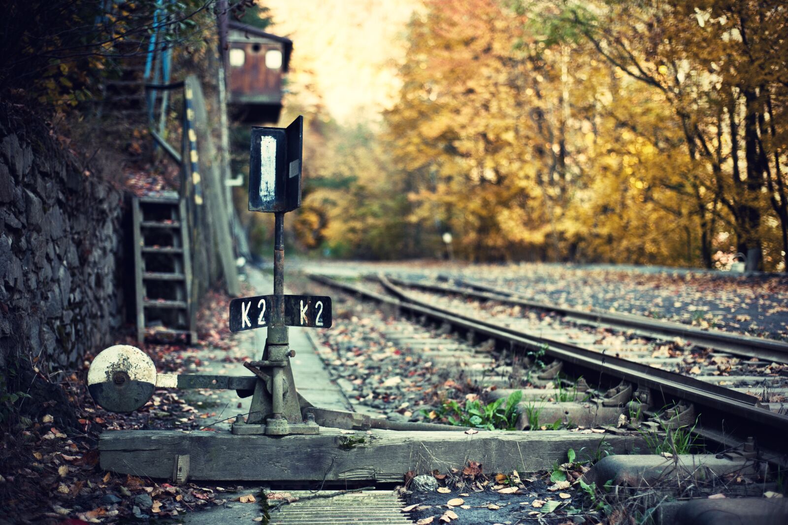 Nikon D700 sample photo. Track, points, leaves photography