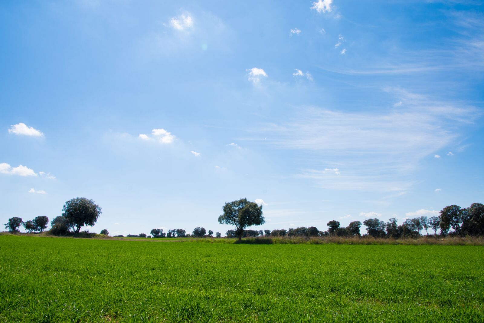 Nikon D7200 sample photo. Sky, green, blue photography