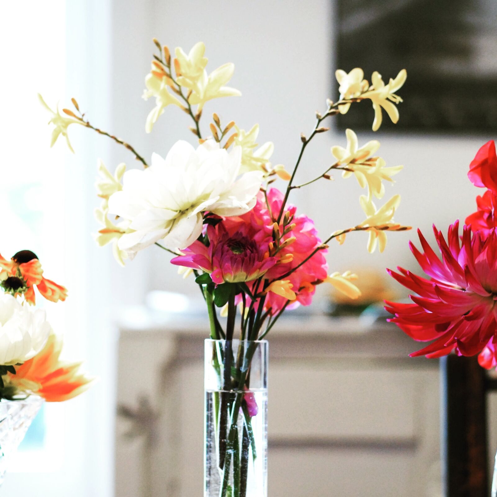 Nikon D40X sample photo. Flower, vase, nature photography
