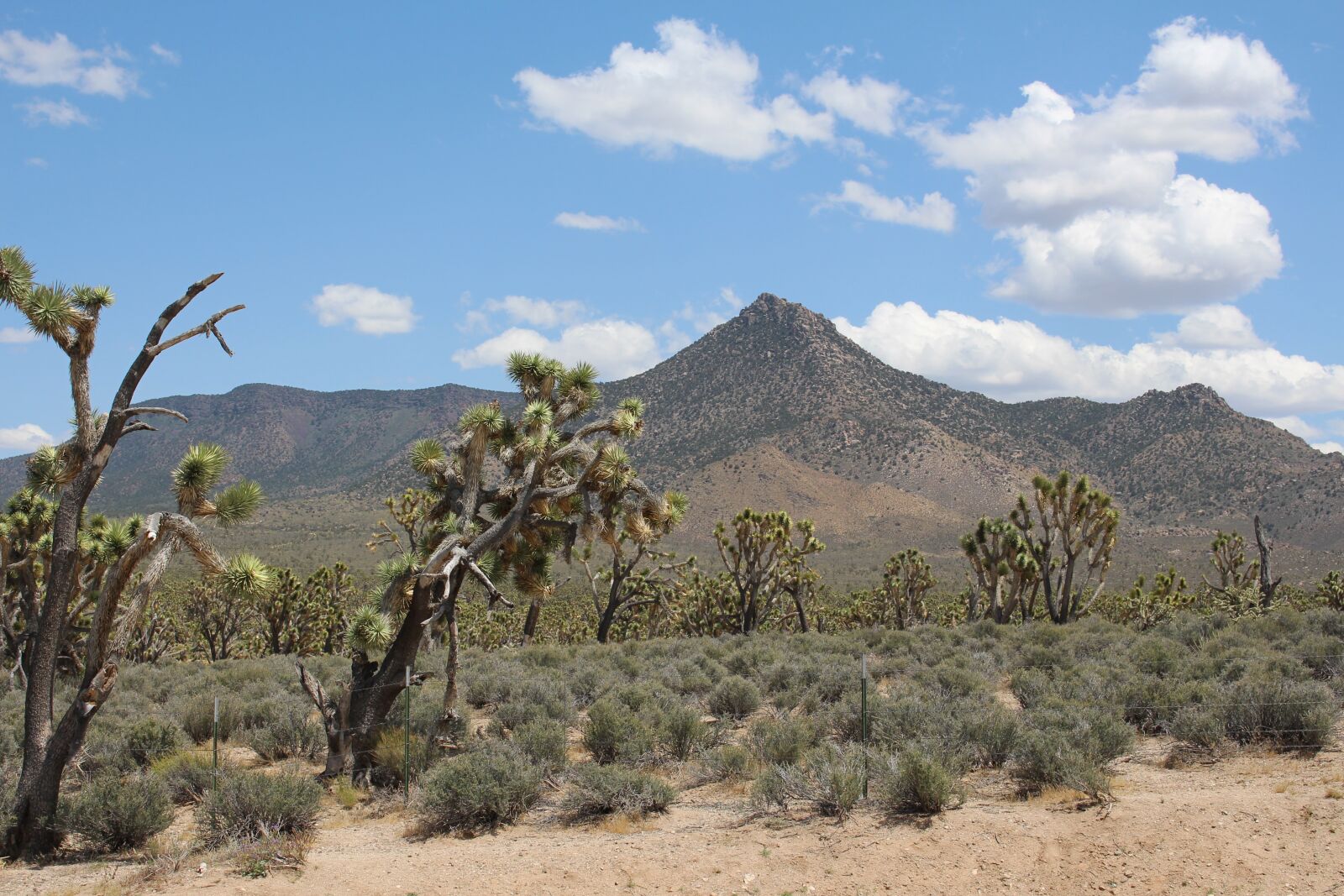 Canon EOS 700D (EOS Rebel T5i / EOS Kiss X7i) sample photo. Desert, las vegas, landscape photography