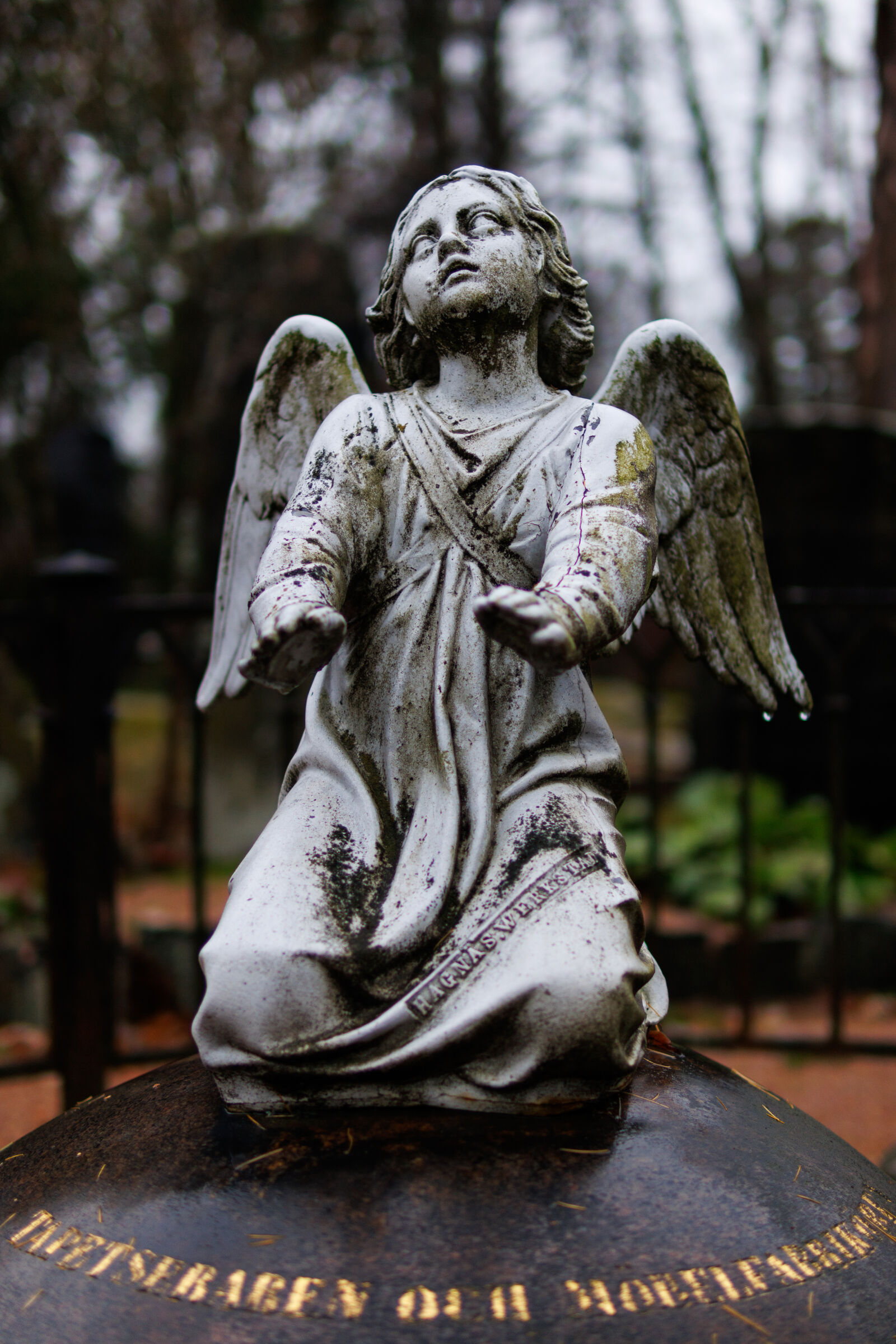 Canon EOS R7 sample photo. Angel decay photography