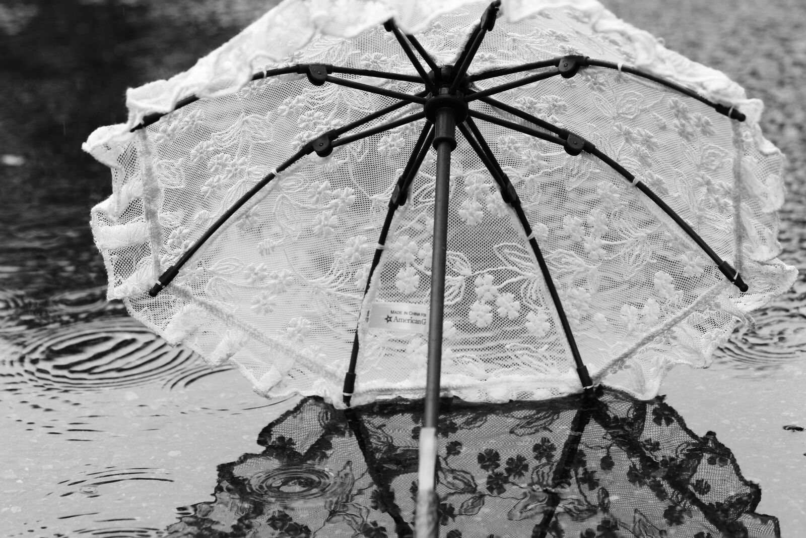 Canon EOS 7D Mark II sample photo. Umbrella, parasol, water photography