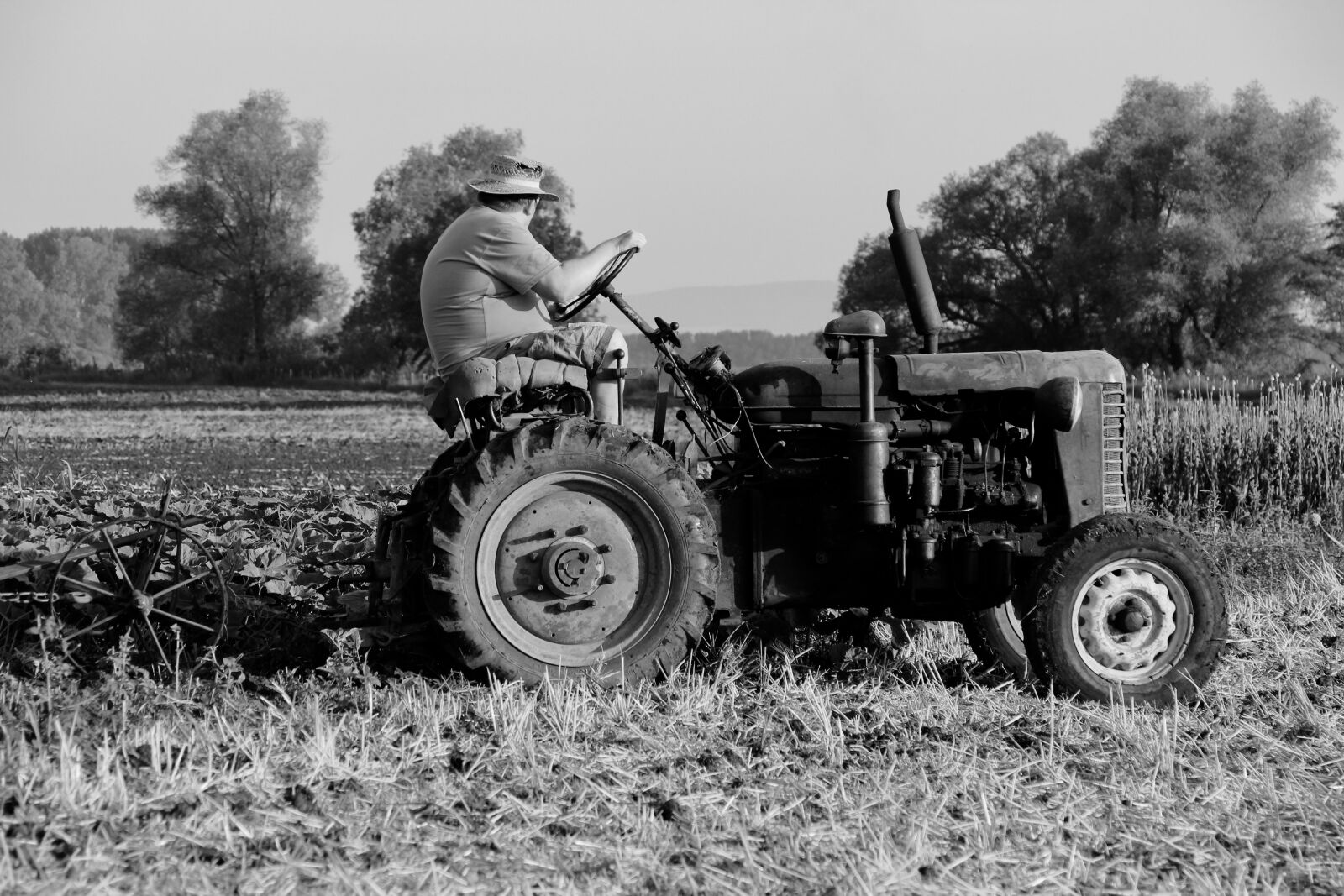 Canon EOS 700D (EOS Rebel T5i / EOS Kiss X7i) sample photo. Field, tractor, tractor driver photography