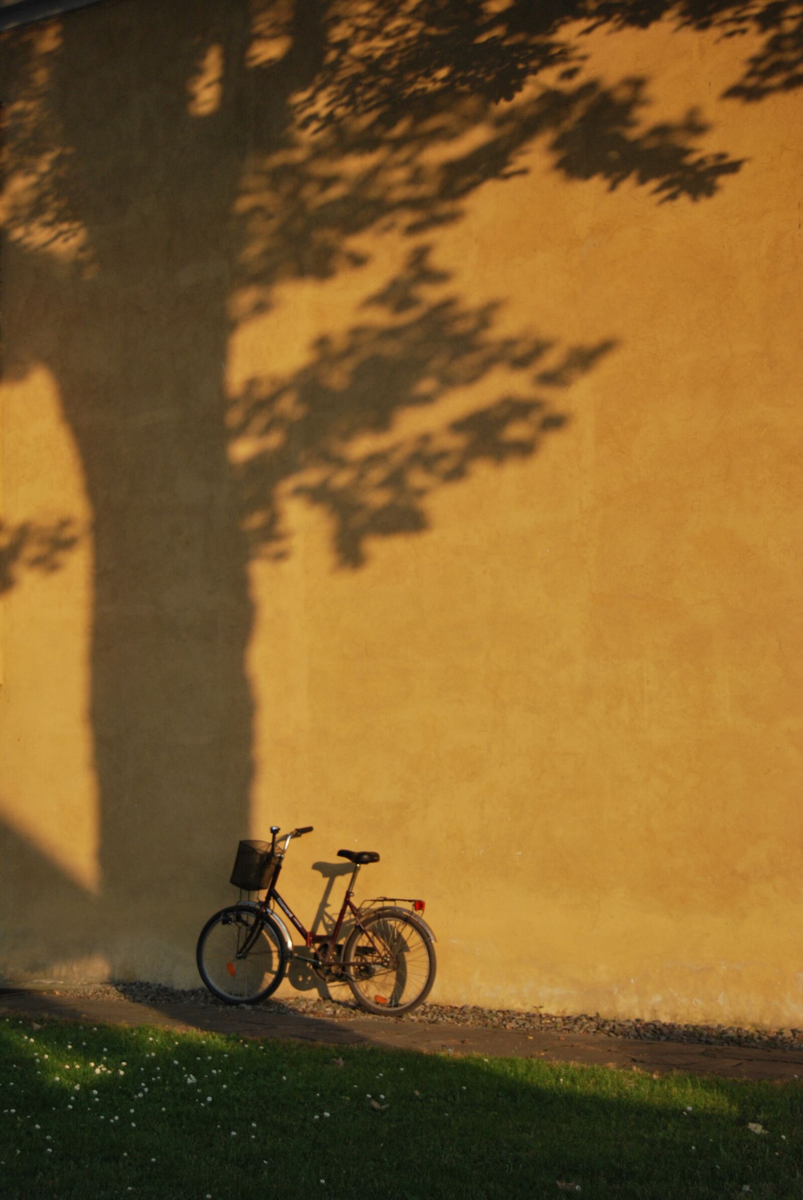 Nikon D60 sample photo. Bike, grass, wall photography