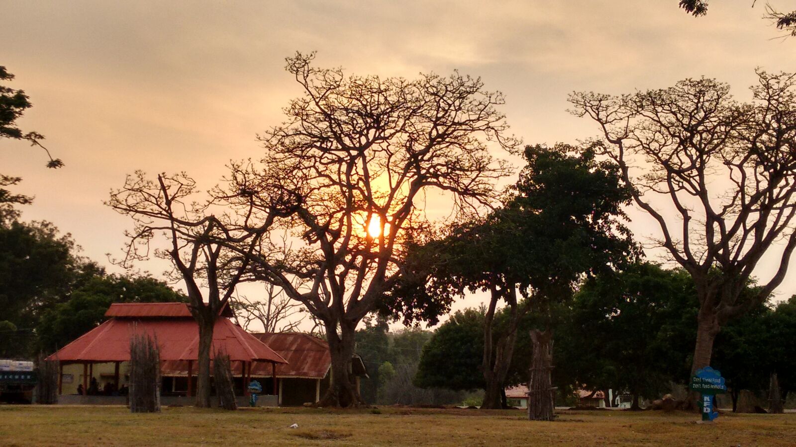 Motorola Moto G (2nd Gen) sample photo. Bandipur, reserve, sunset photography