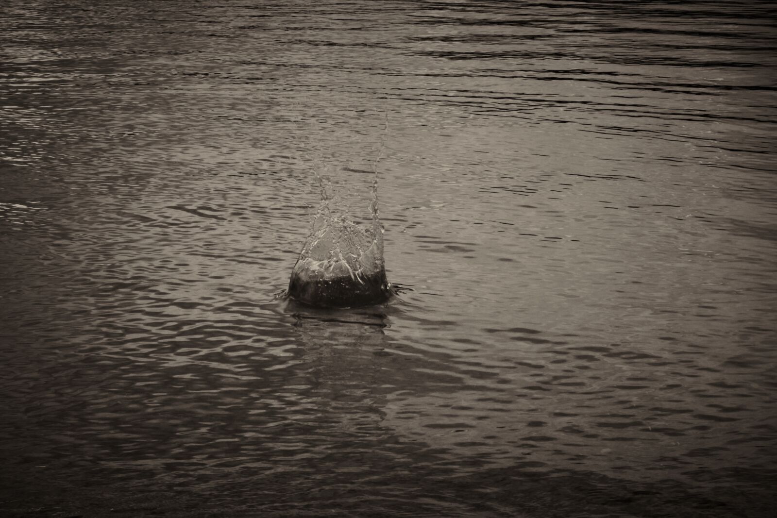 Fujifilm XF 18-55mm F2.8-4 R LM OIS sample photo. Water, sea, lake photography