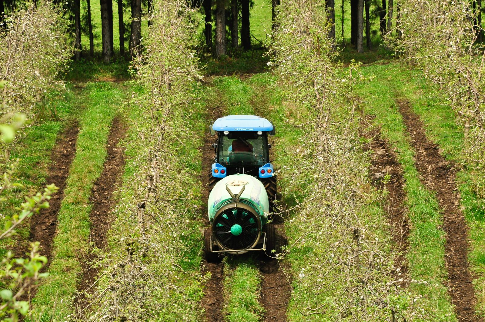 Nikon D5000 sample photo. Tractor, agriculture, tractors photography