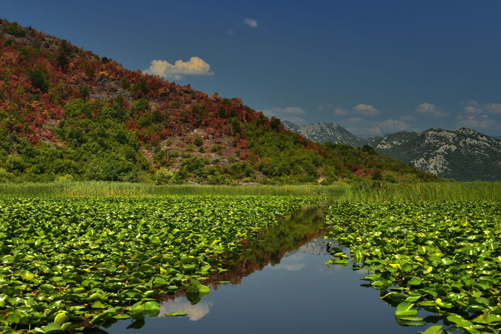 Nikon D800E sample photo. Water, nature, landscape photography