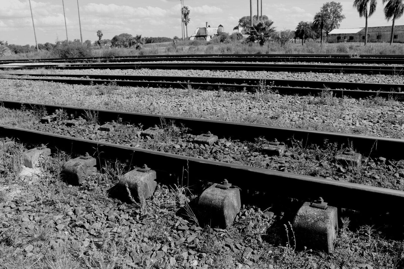 Canon EOS 1300D (EOS Rebel T6 / EOS Kiss X80) sample photo. Engineering, rails, train photography