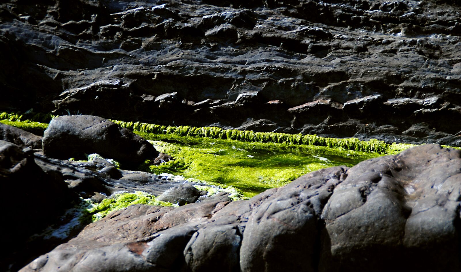 Nikon D3000 sample photo. Moss, rock, cliffs photography