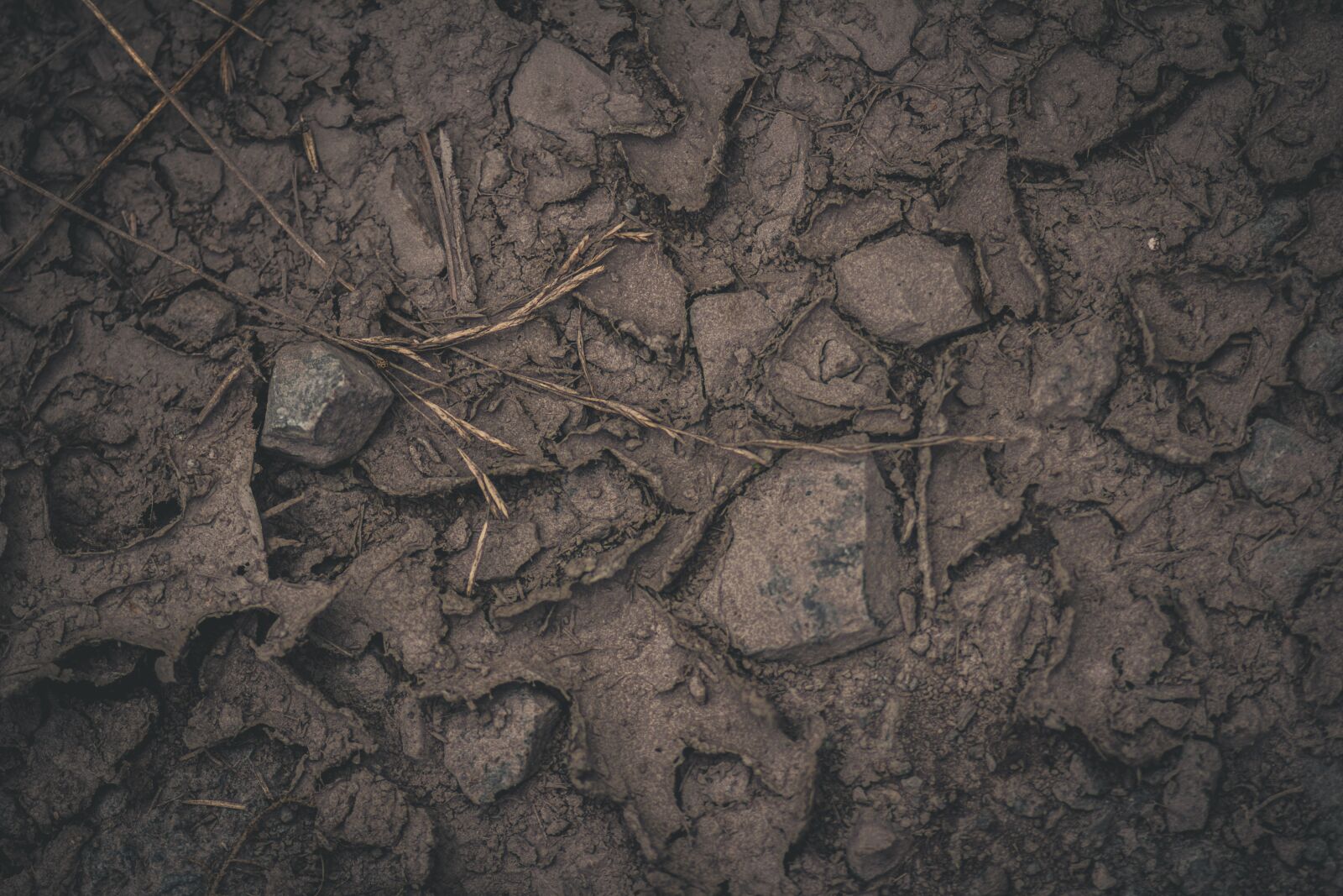 Canon EOS 60D + Canon EF 85mm F1.8 USM sample photo. Earth, ground, brown photography