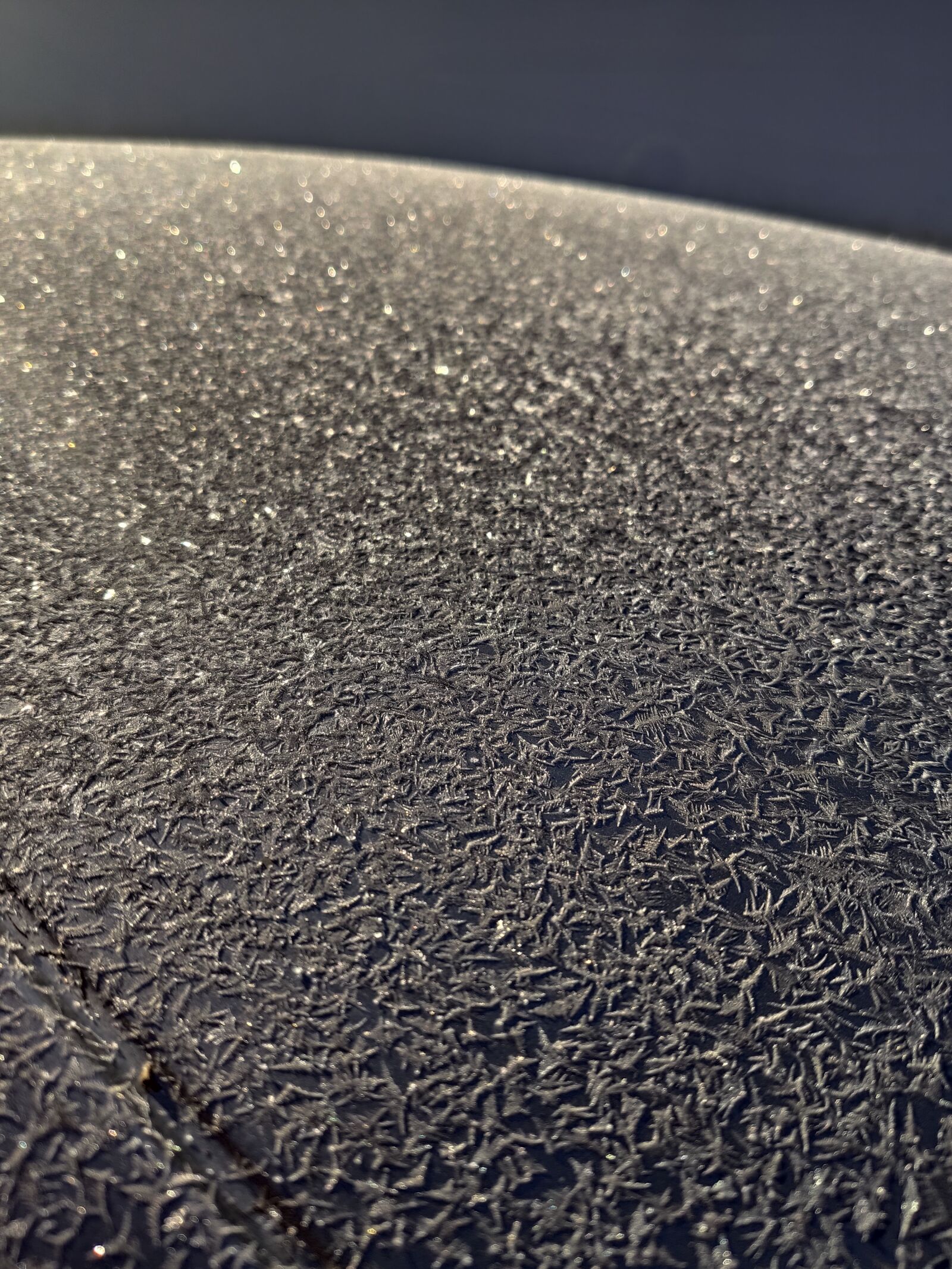 Xiaomi MI 9 sample photo. Winter, freezing, cold photography