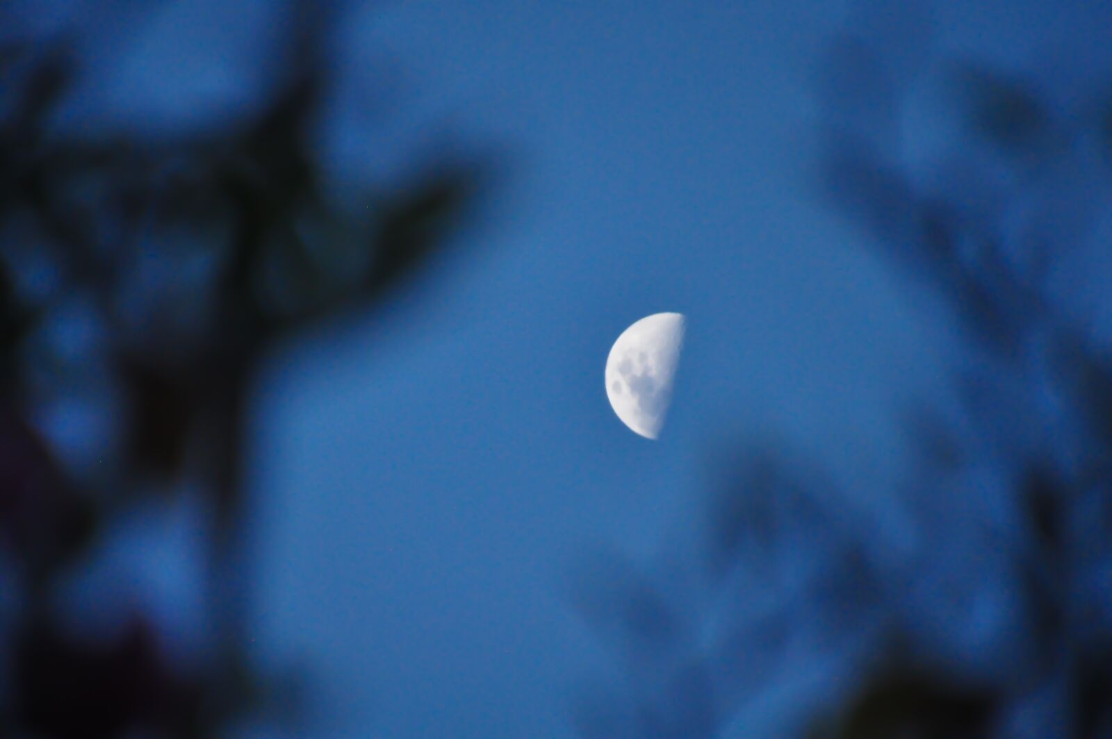 Nikon D90 sample photo. Moon, night, dusk photography