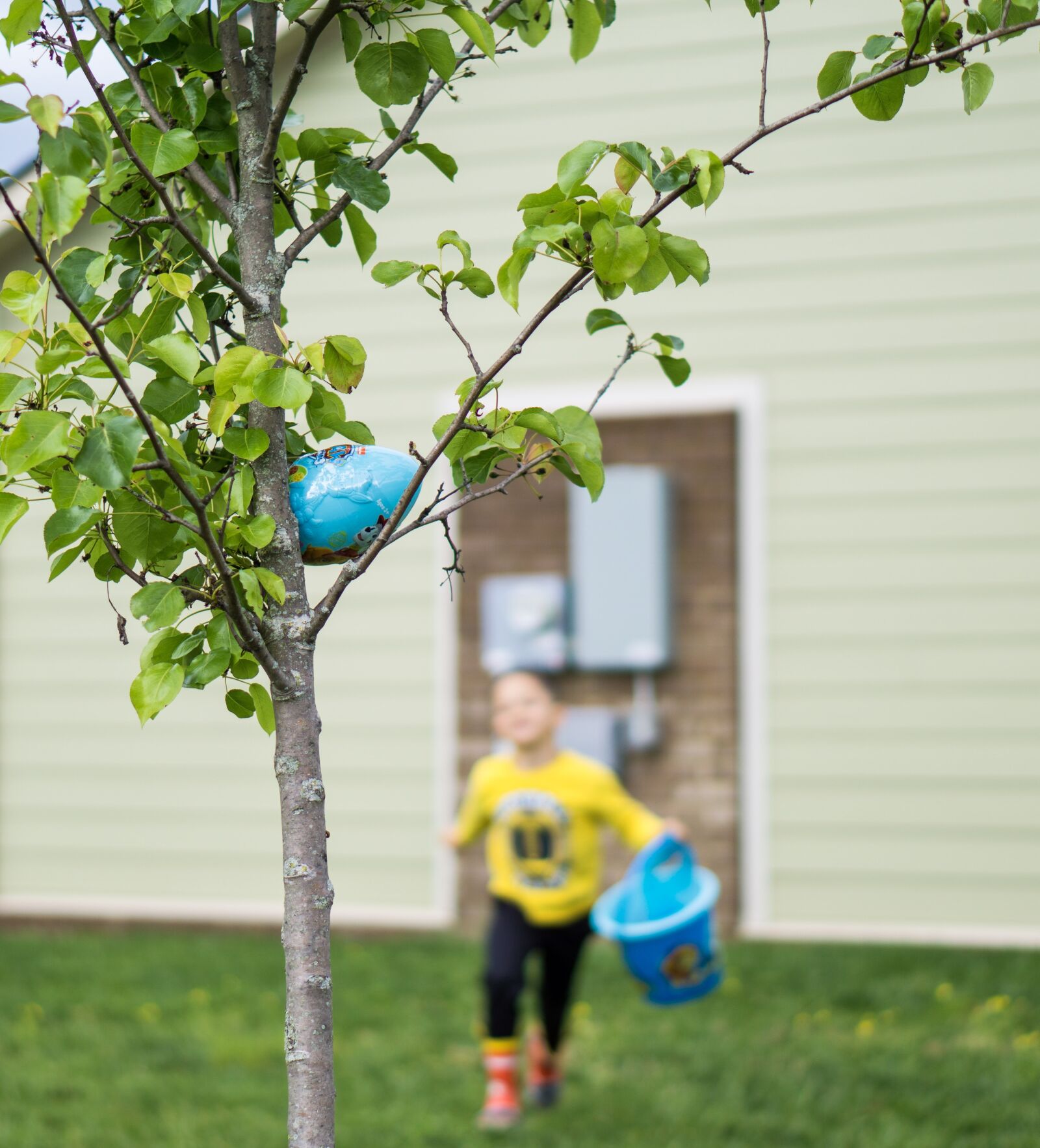 E 50mm F1.8 OSS sample photo. Easter, kids, eggs photography