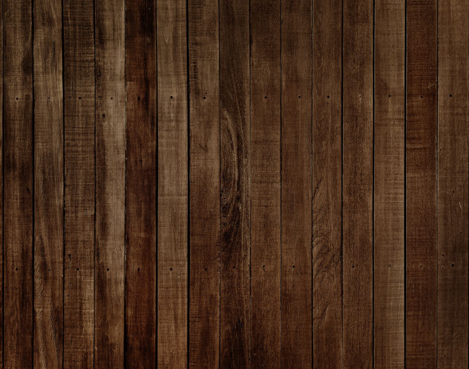 Nikon D810 sample photo. Wood, hardwood, log photography
