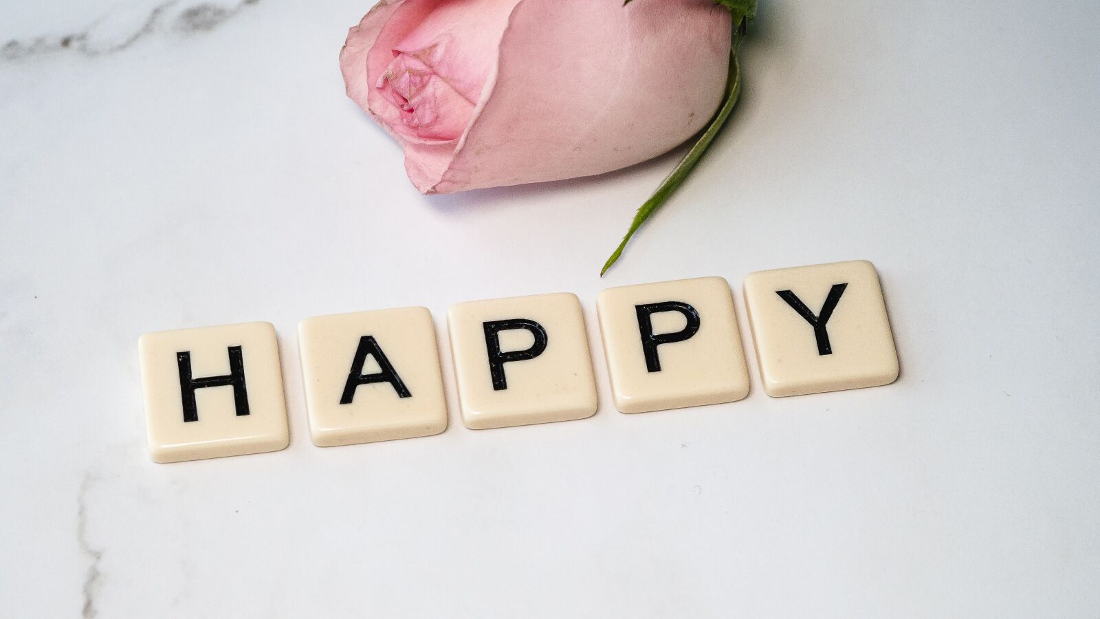 Olympus OM-D E-M10 III sample photo. Happy, rose, romance photography