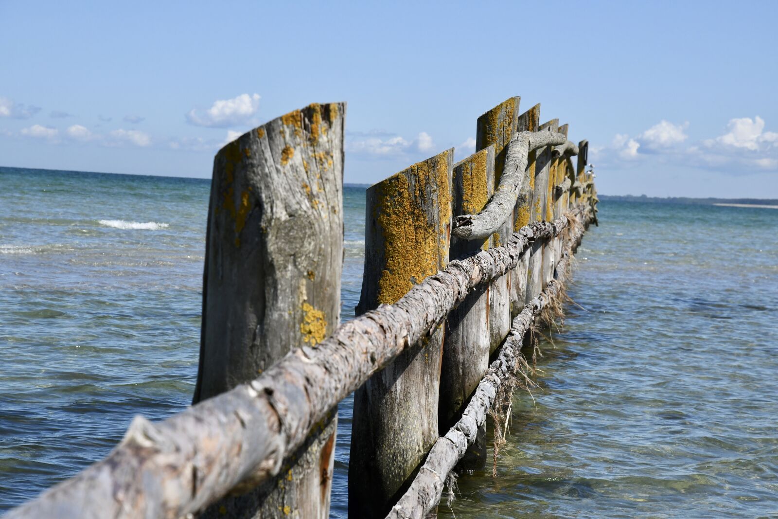 Nikon D7500 sample photo. Beach, ocean, sea photography