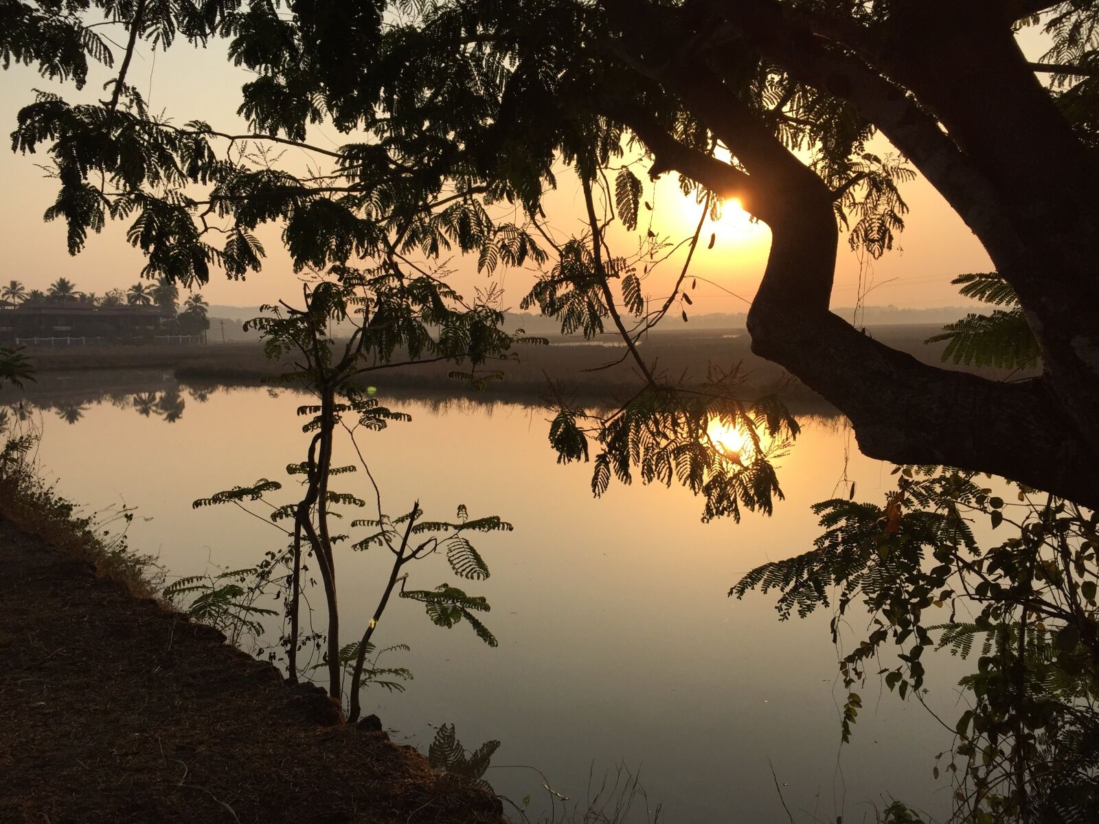 Apple iPhone 6 sample photo. Goa, morning, sunrise photography